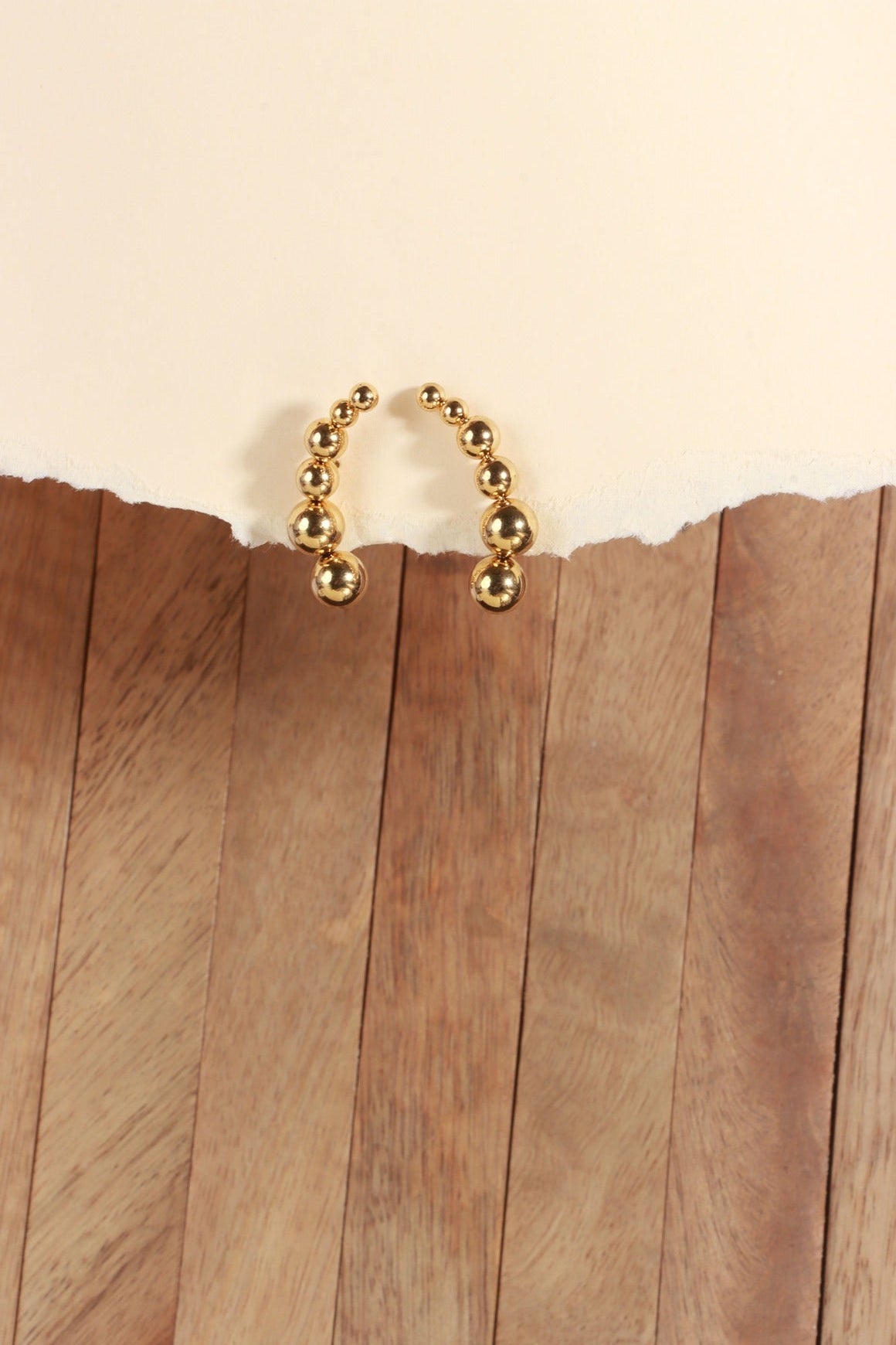Line Loop Earring