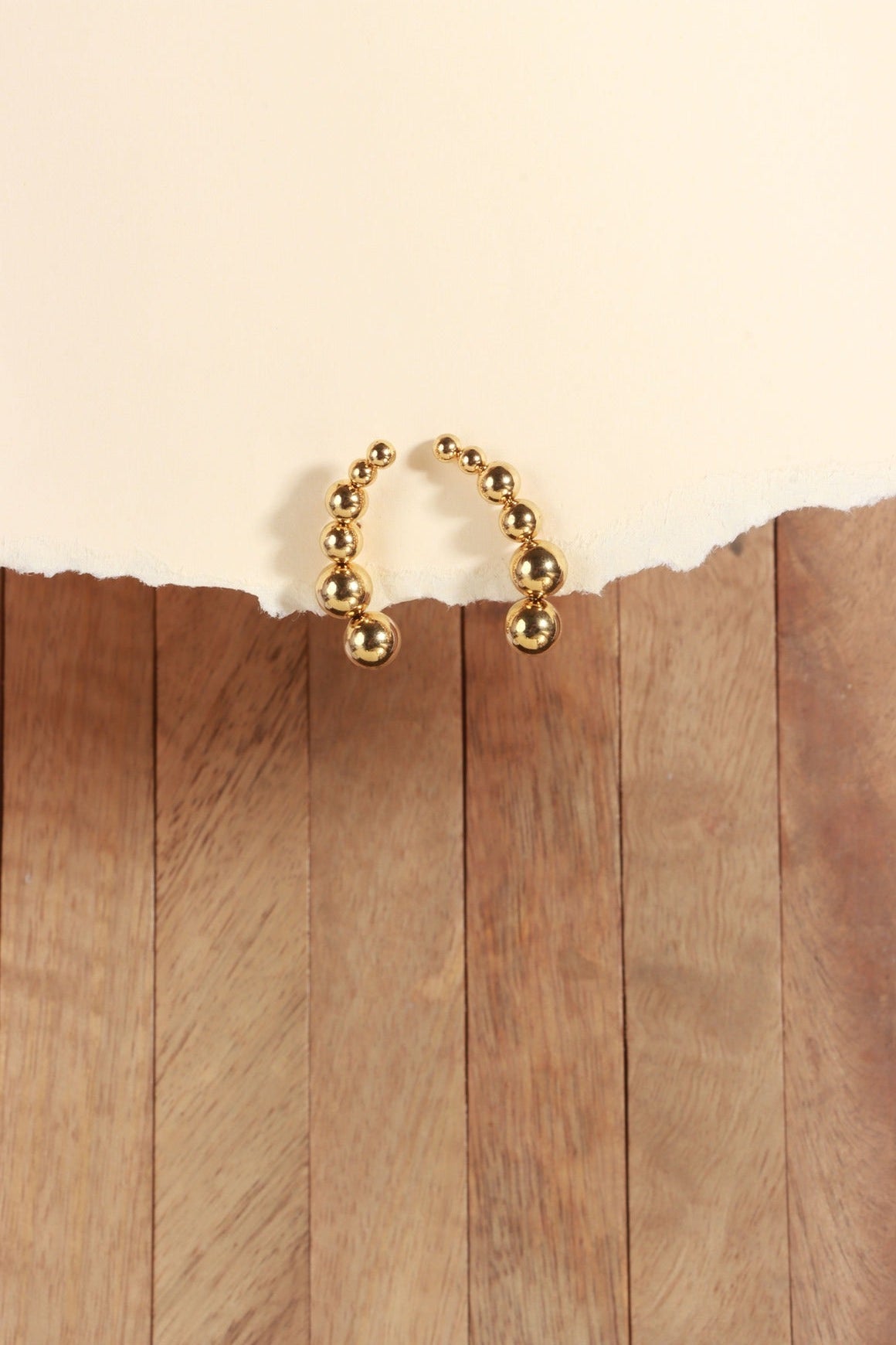 Line Loop Earring